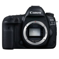 佳能（CANON） 佳能5D4 佳能（Canon）5D Mark IV 专业全画幅单反相机 24-70 f/2.8L II USM套装
