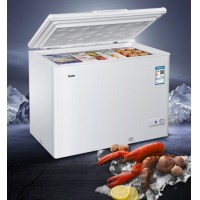 海尔（Haier） 冷柜 318升家商用冰箱 卧式大冷冻柜 BC/BD-318HD