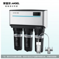 安吉尔（Angel）净水器家用直饮厨下式反渗透纯水机双水机过滤器净水机J1205-ROB8