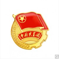 易利丰 共青团团徽大号小号别针磁扣学生成人 小号磁铁扣10个装