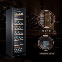 海尔（Haier） WS171 冰柜