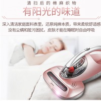 美的（Midea）B3除螨仪家用床上除螨虫神器小型紫外线杀菌除螨机床铺吸尘自营