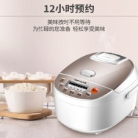 九阳（Joyoung）电饭煲 电饭锅 3L 3-4人迷你家用饭煲 智能预约一键快饭不粘内胆 JYF-30FE08