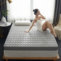 雅鹿家纺 乳胶床垫床褥软垫家用冬季加绒加厚可折叠榻榻米学生宿舍单人厚款1.8米租房专用垫子 高雅灰 1.5*2.0