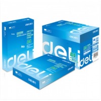得力（Deli）7419-莱茵河80克A4复印纸 5包/箱 整箱2500张