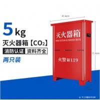 适用二氧化碳灭火器手提式干冰灭火器3kg5kg两公斤机房工厂专用 5kg二氧化碳灭火器箱空箱 2只装