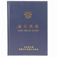 成文厚总分类账  110-97