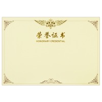 得力(deli) 绒面 荣誉证书 颁奖得奖获奖状外壳聘书 8K荣誉证书内芯100张 323