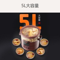九阳（Joyoung）电炖锅电炖盅5L大容量紫砂 预约电砂锅大功率 陶瓷煮粥煲汤锅DGD5