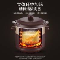 美的（Midea）电炖锅 电炖盅 煲汤锅炖汤锅 电砂锅 煮粥锅 南都陶釜内胆 4升煲汤电炖