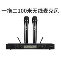 得胜（TAKSTAR）G58 U段无线话筒一拖二 无线麦克风专业演出KTV会议K歌手持麦