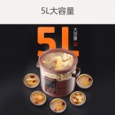 九阳（Joyoung）电炖锅电炖盅5L大容量紫砂 预约电砂锅大功率 陶瓷煮粥煲汤锅DGD50-05AK