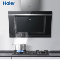 海尔（Haier）侧吸式抽油烟机 智慧自清洗 家用 大火力燃气灶 烟灶套装E800C6J+
