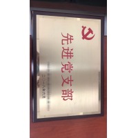  木拖+铜 奖牌定制定做牌匾35*50cm也可定制尺寸企业定制 彩印工艺