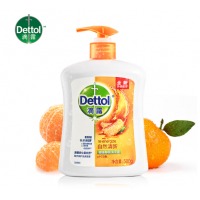 滴露Dettol健康抑菌洗手液自然清新500g 抑菌99.9%