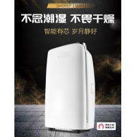 格力（GREE）抽湿机/除湿机 除湿量20升/天 适用面积40平方米内 (DH20EF)W