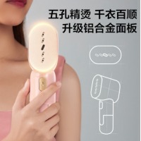 美的（Midea）挂烫机家用手持蒸汽挂烫机迷你烫衣机电熨斗熨斗便携式旅行挂烫机 干湿双烫Y