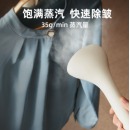 小熊（Bear）挂烫机家用熨烫机蒸汽挂烫机烫衣机熨衣服手持熨斗立式挂烫机GTJ-B15V1