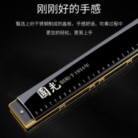 国光口琴专业演奏级28孔重音簧复音C调初学者入门 黑色