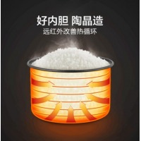 苏泊尔 SUPOR 电饭煲迷你1.6L学生宿舍机械电饭锅 SF16YA22