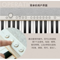 卡西欧（CASIO）电子琴CT-S1RD 儿童成人练习初学冰淇淋61键电子琴小仙琴时尚潮玩