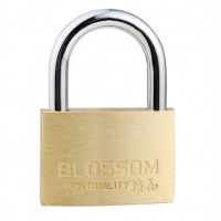 梅花（BLOSSOM）铜挂锁 防水防锈家用锁具 宿舍小挂锁柜门锁 防盗窗锁头55mm（076）