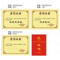 证书中号荣誉证书250x180mm