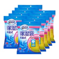 绿伞 可挂式除湿袋220g*10袋 干燥剂防潮防霉剂衣柜室内房间汽车吸潮除湿