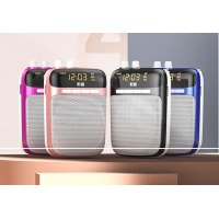 索尼 S318 小蜜蜂扩音器
