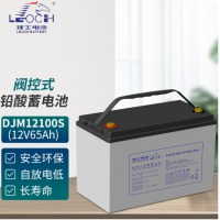 理士电池（LEOCH BATTERY LEOCH）DJM12100S工业级铅酸免维护蓄电池 UPS电源 EPS直流屏专用
