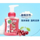 滴露泡沫抑菌洗手液250ml 高效抑菌99.9% 棉花般泡沫 樱桃芬芳
