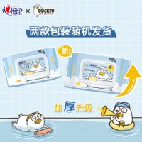 心相印湿巾 湿厕纸 小刘鸭定制款 温和杀菌 80片*5包 家庭装