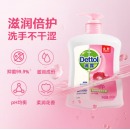 滴露Dettol健康抑菌洗手液滋润倍护500g 抑菌99.9%