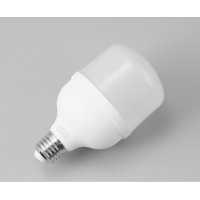 雷士（NVC）LED灯泡柱泡节能灯 E27大螺口家用商用大功率光源 24瓦白光球泡