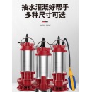 潜水泵220V污水泵抽水泵排污泵清水泵农用家用高扬程不锈钢抽水泵 不锈钢370W/一寸清水泵