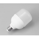 雷士（NVC）LED灯泡柱泡节能灯 E27大螺口家用商用大功率光源 24瓦白光球泡