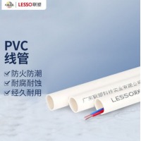 联塑（LESSO）PVC线管 国标A管 冷弯埋地穿线管绝缘阻燃电工套管 dn25 2米 白