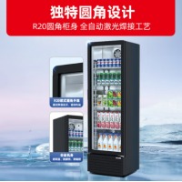 星星（XINGX） 291升立式单门商用风直冷冷藏冰箱展示柜 超市饮料啤酒保鲜冷柜 茶叶冷