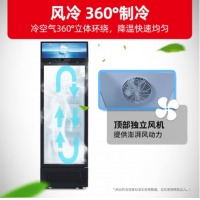 星星（XINGX） 370升 商用立式展示柜冷冻 风冷无霜饮料陈列柜冷藏保鲜冰箱冰柜 LS