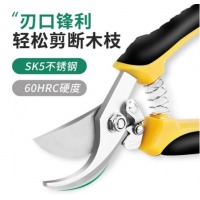 得力（deli）果枝剪花枝果枝粗树枝果树修剪工具园艺剪刀花剪盆栽修剪 DL2770 弯嘴花