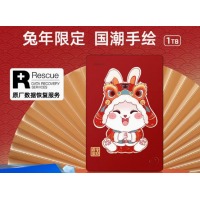 Seagate希捷移动硬盘彩绘1t外接便携官方旗舰店2tb 【兔年限定款】