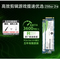 Seagate希捷510固态硬盘250g Nvme m2 笔记本台式ssd高速ssd