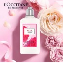 欧舒丹【品牌直供】L'OCCITANE法国腊菊活颜紧致面霜亮肤洁面泡沫润肤乳 玫瑰之心润肤露250ml/瓶