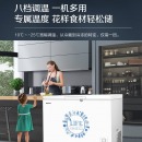 海信 (Hisense) 冰柜冷柜308升 冷冻冷藏大容量一级能效保鲜柜BD/BC-308NU/A