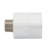 联塑（LESSO）联塑PPR加厚冷热水管接头配件 外丝直接20mm(4分）1/2