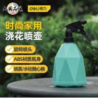 得力（deli）喷水壶喷雾器 园林园艺浇花酒精消毒喷壶 手压式绿色 DL581005B