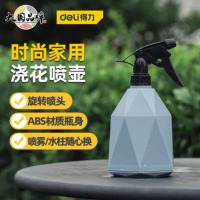 得力（deli）喷水壶喷雾器 园林园艺浇花酒精消毒喷壶 手压式蓝色 DL581005A
