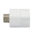 联塑（LESSO）联塑PPR加厚冷热水管接头配件 外丝直接20mm(4分）1/2