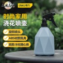 得力（deli）喷水壶喷雾器 园林园艺浇花酒精消毒喷壶 手压式蓝色 DL581005A
