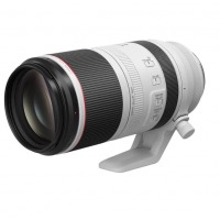 佳能（Canon）RF100-500mm F4.5-7.1L IS USM变焦镜头微单镜头